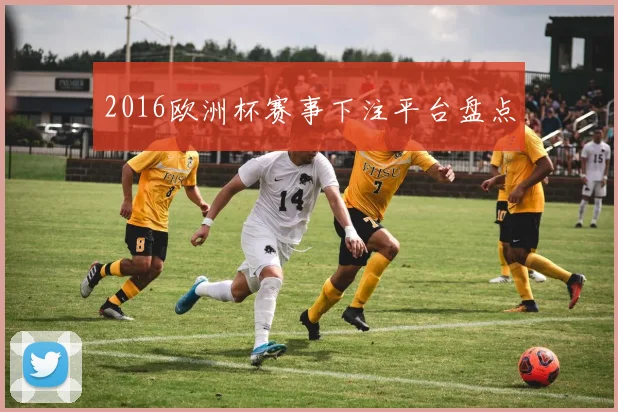 2016欧洲杯赛事下注平台盘点