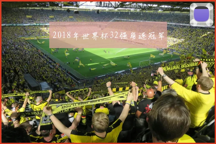2018年世界杯32强角逐冠军