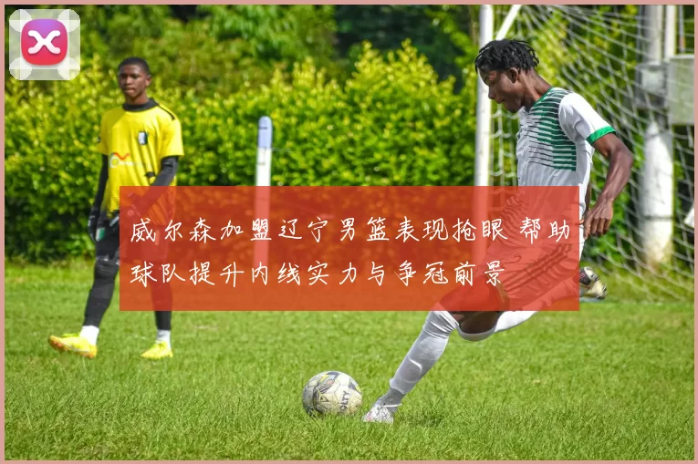 威尔森加盟辽宁男篮表现抢眼 帮助球队提升内线实力与争冠前景