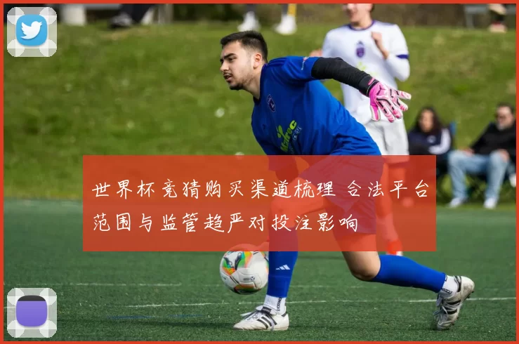 世界杯竞猜购买渠道梳理 合法平台范围与监管趋严对投注影响