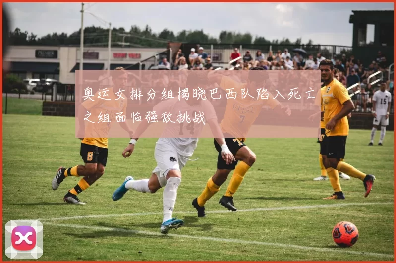 奥运女排分组揭晓巴西队陷入死亡之组面临强敌挑战